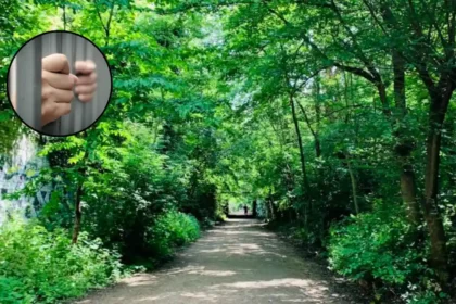 16-Year-Old Arrested on Suspicion of Rape on Parkland Walk, Haringey 2026