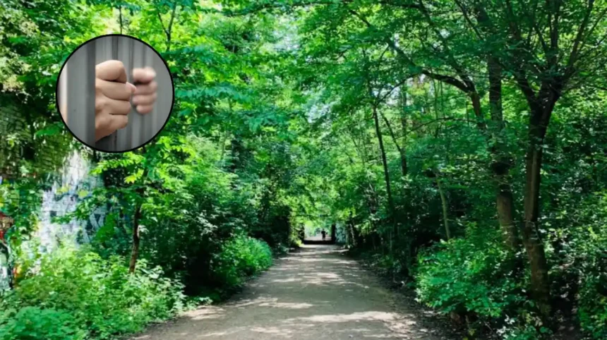 16-Year-Old Arrested on Suspicion of Rape on Parkland Walk, Haringey 2026