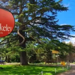 Berkeley Offers Private School Fees To Homebuyers In Enfield 2026