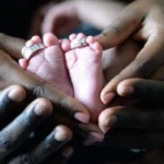 Libidinal capitalist modernity and Falling Fertility Worldwide