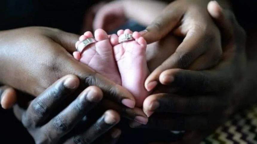 Libidinal capitalist modernity and Falling Fertility Worldwide