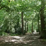 Most Beautiful Places to Visit in Barnet for Scenic Days Out