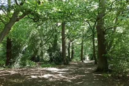 Most Beautiful Places to Visit in Barnet for Scenic Days Out