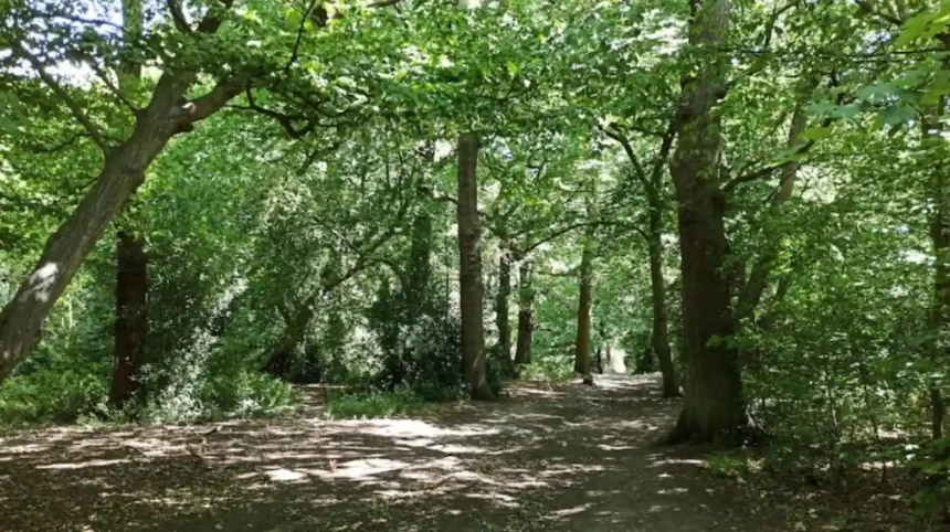 Most Beautiful Places to Visit in Barnet for Scenic Days Out