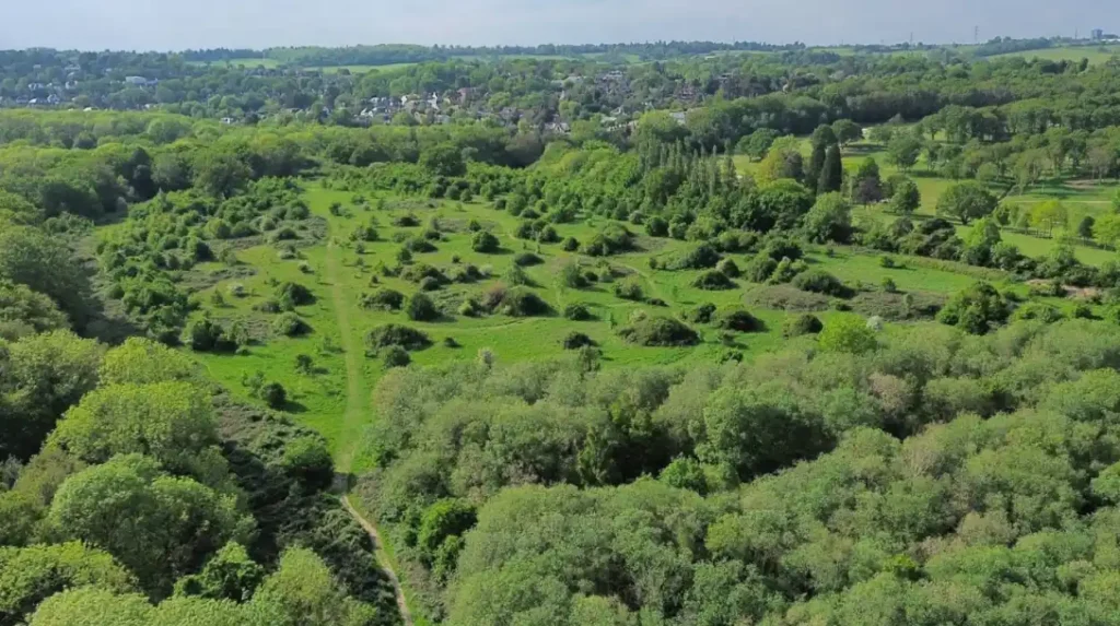 Which places in Barnet are the most scenic?