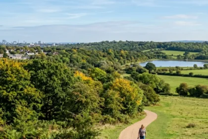 Why Is Barnet One of the Greenest Areas in North London? Parks and Nature