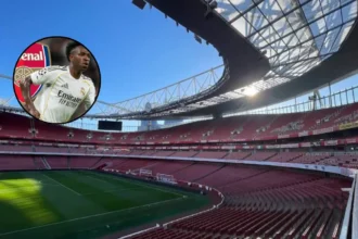 Arsenal Urged to Sign Barcola Over Vinicius Jr: London 2026