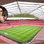 Arteta Addresses Myles Lewis-Skelly Arsenal Future in North London, 2026