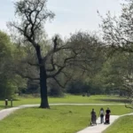Best Seasonal Walks in Barnet, North London 2026