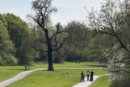 Best Seasonal Walks in Barnet, North London 2026