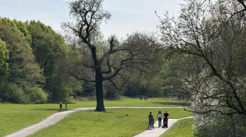 Best Seasonal Walks in Barnet, North London 2026