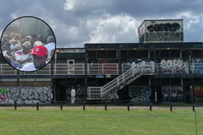 Ghana Party in the Park Stampede Injures 23 in Barnet 2026