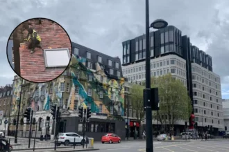London Firm and Director Fined Over Dangerous Roof Work, North London 2026