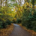Parkland Walk Disused Railway Trail Transformed in North London 2026
