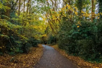 Parkland Walk Disused Railway Trail Transformed in North London 2026