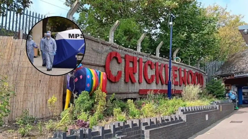 Police Seek Man After Violent Assault on Train in Cricklewood, 2026