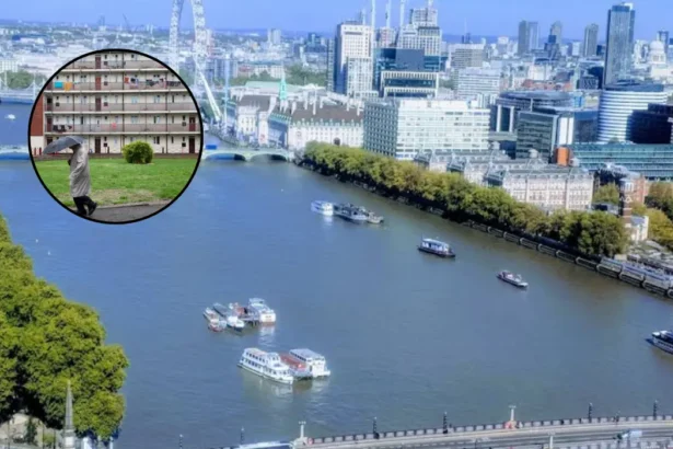Reform UK Proposes Social Housing Priority for British Workers London 2026