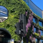 UK Clears Paramount Acquisition of Warner Bros Discovery London 2026