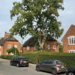 What Architecture Defines Barnets Character North London