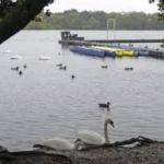 What Wildlife Can You See in Barnet North London 2026