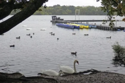 What Wildlife Can You See in Barnet North London 2026