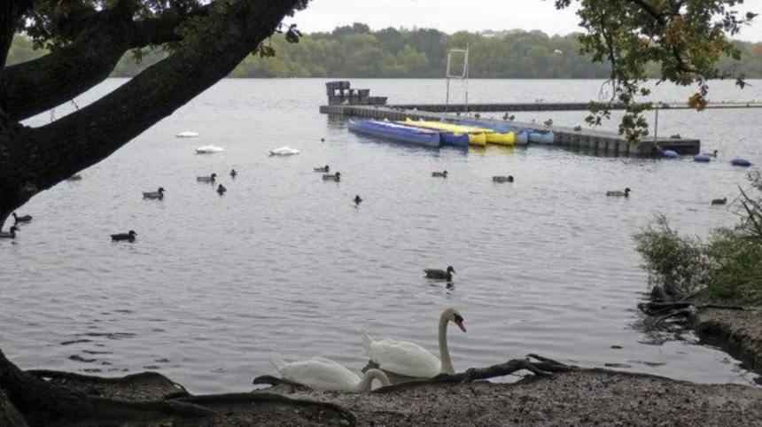 What Wildlife Can You See in Barnet North London 2026