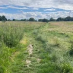 Which Nature Reserves Can You Visit in Barnet 2026