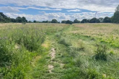 Which Nature Reserves Can You Visit in Barnet 2026