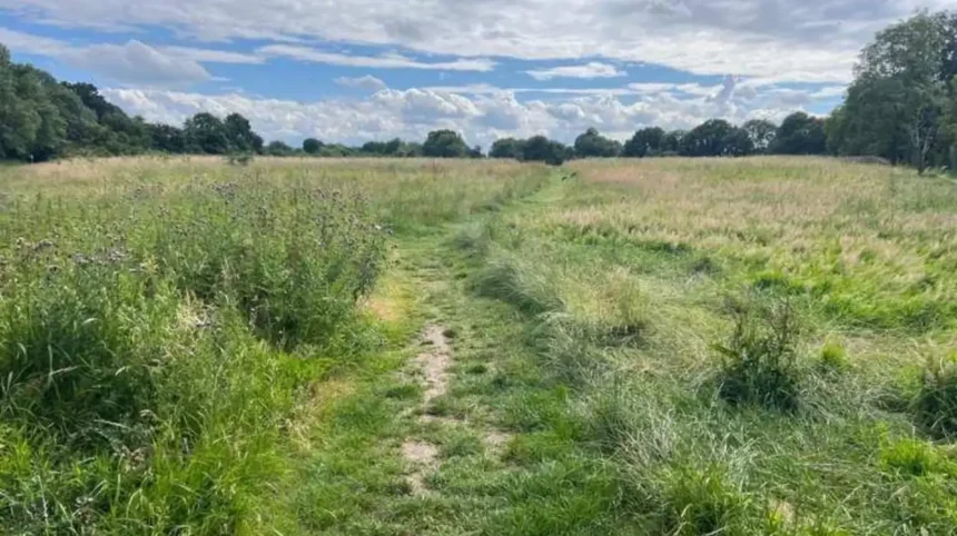 Which Nature Reserves Can You Visit in Barnet 2026
