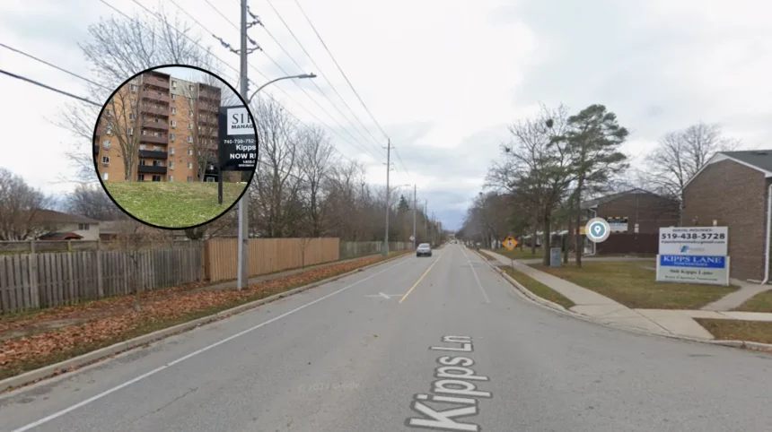 Why Condo Conversions Cause Maintenance Friction on Kipps Lane 2026