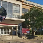 Why Haringey Council Backs Direct Support for Windrush Families Haringey 2026
