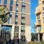 Barnet Council Revamps Flood Defences to Fight Climate Change: Burnt Oak 2026