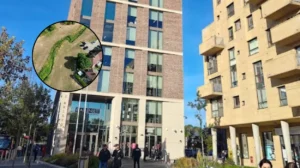 Barnet Council Revamps Flood Defences to Fight Climate Change: Burnt Oak 2026