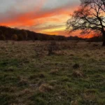 Best Sunset Spots in Barnet North London Guide