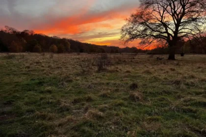 Best Sunset Spots in Barnet North London Guide