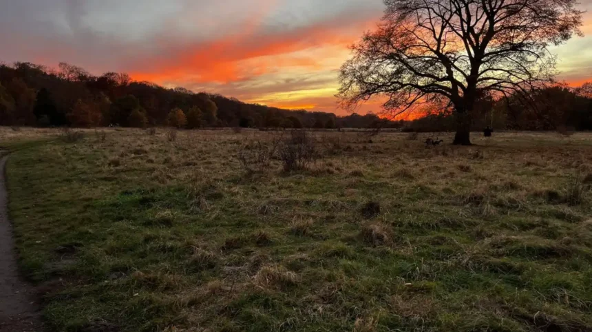 Best Sunset Spots in Barnet North London Guide