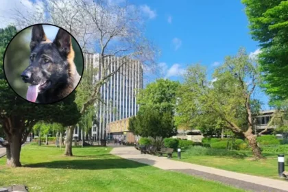Enfield Council Fines Yasar Mustafa £1,850 Over Barking Dog, Enfield 2026