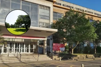 Four Haringey Playgrounds To Receive Accessible Upgrades In Haringey 2026