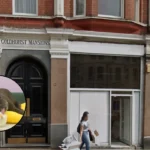 Korean Dog-Friendly Cafe Comma Opens in West Hampstead 2026