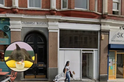 Korean Dog-Friendly Cafe Comma Opens in West Hampstead 2026