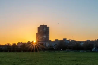 Tottenham Lordship Rec Transformed Into £7m Urban Nature Haven 2026