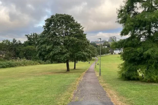 Two Charged With Rape After Incident at Sunny Hill Park Hendon 2026