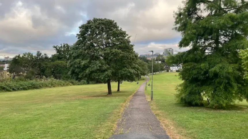 Two Charged With Rape After Incident at Sunny Hill Park Hendon 2026