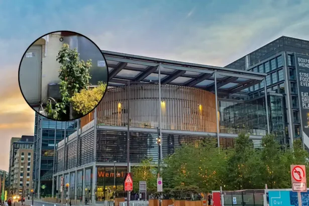 Why Is Brent Council's £530K House Empty in Sudbury 2026?