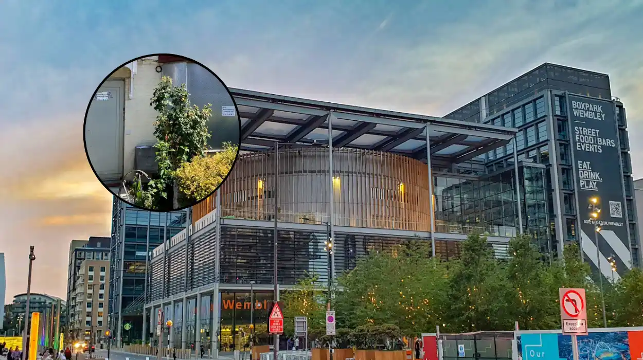 Why Is Brent Council's £530K House Empty in Sudbury 2026?