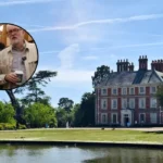 Your Party Launches Resident First Branch in North London, Enfield 2026