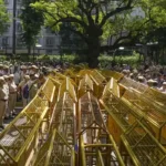 Barricading the Brave: Democratic Revolution and Hindutva Cowardice