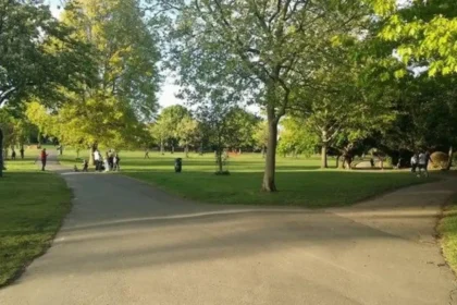 Best Barnet Activities for Multi-Generational Families