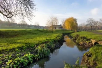 Best Barnet Locations for a Morning Out Parks, History and Museums