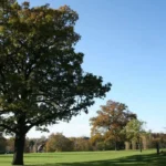 Best Places to Relax in Barnet Parks, Gardens & Green Spaces